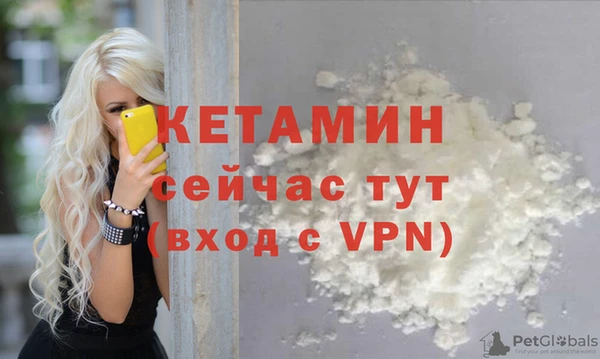индика Аркадак