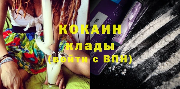 индика Аркадак