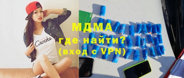 индика Аркадак