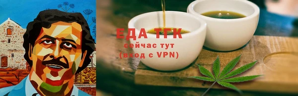 индика Аркадак