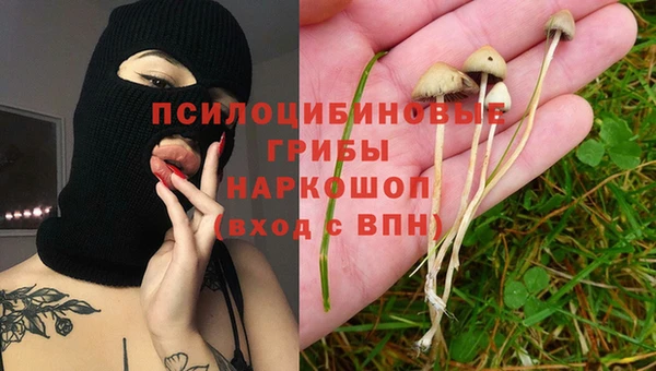гашик Арсеньев