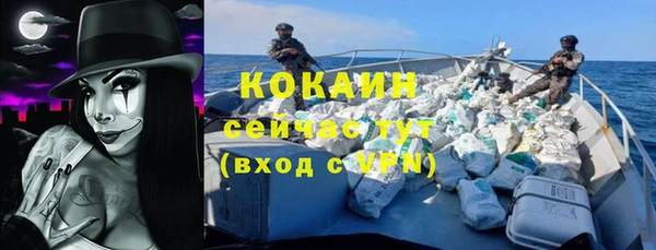 индика Аркадак