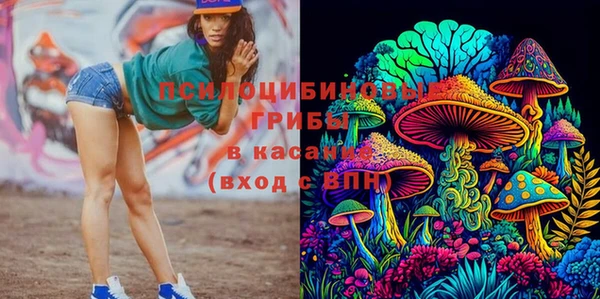 индика Аркадак